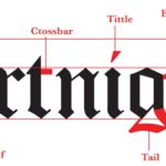Typography Anatomy 